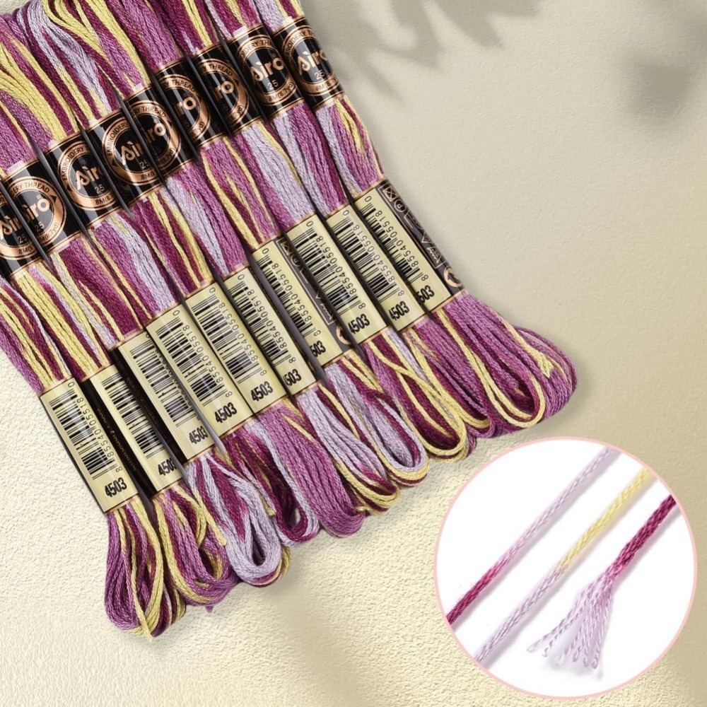 6 Strands Purple Variegated Em - Embroidery Floss Thread 리뷰 및 가격